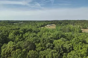 2033 Peeksville Rd, Locust Grove, GA 30248 - Photo 17