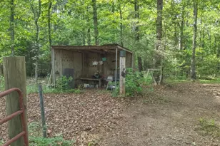 2033 Peeksville Rd, Locust Grove, GA 30248 - Photo 81