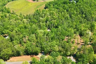 497 Mill Trace Ct, Cleveland, GA 30528 - Photo 49
