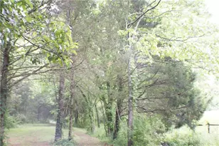 4619 S 341 Hwy, Chickamauga, GA 30707 - Photo 175