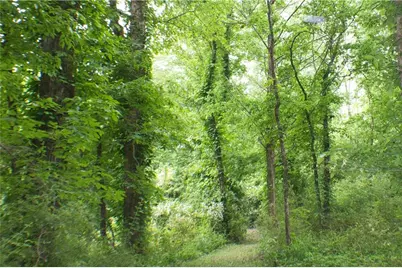 4619 S 341 Highway, Chickamauga, GA 30707 - Photo 195