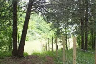 4619 S 341 Hwy, Chickamauga, GA 30707 - Photo 179