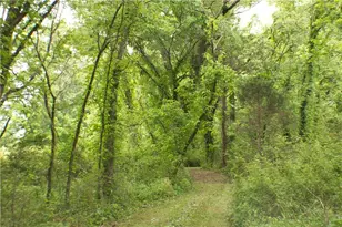 4619 S 341 Hwy, Chickamauga, GA 30707 - Photo 183