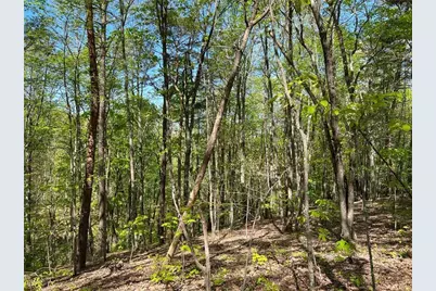 269 Appleberry Mountain Road, Waleska, GA 30183 - Photo 1