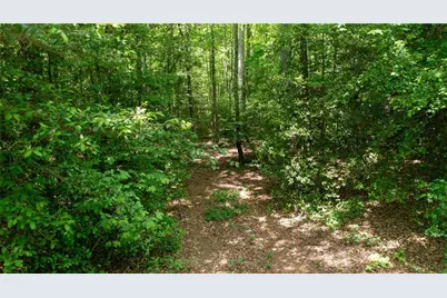 0 Hwy 136 (3.12 Acres), Dawsonville, GA 30534 - Photo 21