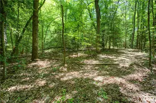 0 Hwy 136 (3 12 Acres), Dawsonville, GA 30534 - Photo 1