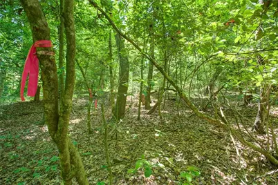 0 Hwy 136 (3.12 Acres), Dawsonville, GA 30534 - Photo 9
