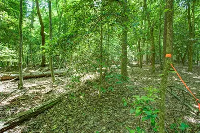 0 Hwy 136 (3.12 Acres), Dawsonville, GA 30534 - Photo 5