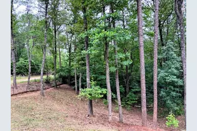 2182 Ben Higgins Road, Dahlonega, GA 30533 - Photo 27