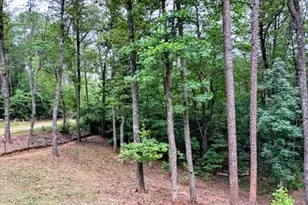 2182 Ben Higgins Rd, Dahlonega, GA 30533 - Photo 27
