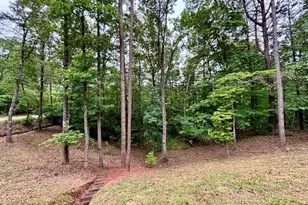2182 Ben Higgins Rd, Dahlonega, GA 30533 - Photo 25