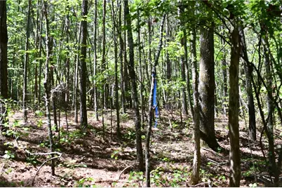00001 Windridge Lane, Temple, GA 30179 - Photo 3