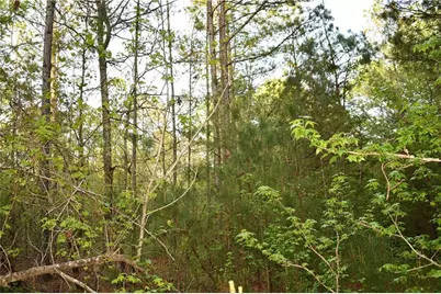 00004 Windridge Lane, Temple, GA 30179 - Photo 13