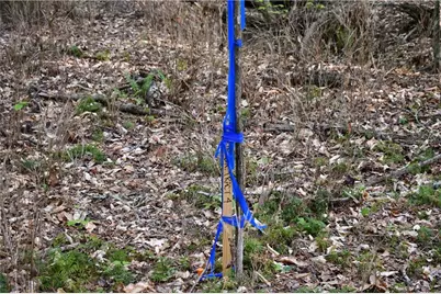 00004 Windridge Lane, Temple, GA 30179 - Photo 3