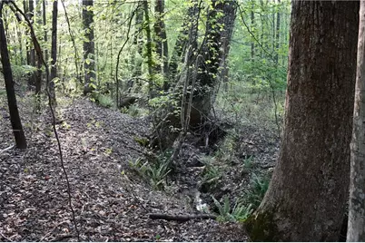 00004 Windridge Lane, Temple, GA 30179 - Photo 7