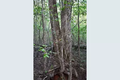 00005 Windridge Lane, Temple, GA 30179 - Photo 11