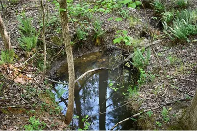 00005 Windridge Lane, Temple, GA 30179 - Photo 3