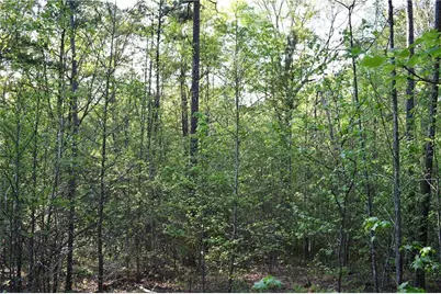 00005 Windridge Lane, Temple, GA 30179 - Photo 9