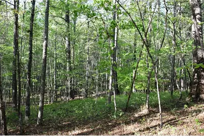 00005 Windridge Lane, Temple, GA 30179 - Photo 5