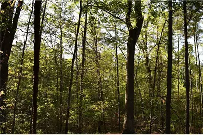 00005 Windridge Lane, Temple, GA 30179 - Photo 7