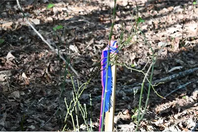 00008 Windridge Lane, Temple, GA 30179 - Photo 21