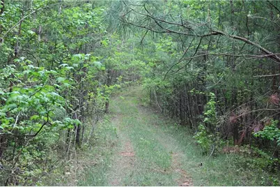 00008 Windridge Lane, Temple, GA 30179 - Photo 23