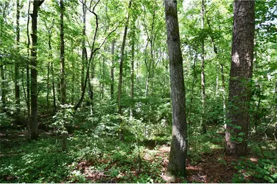 00008 Windridge Lane, Temple, GA 30179 - Photo 17