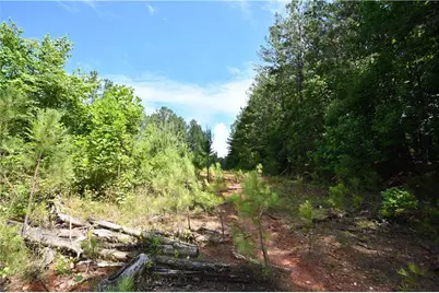00008 Windridge Lane, Temple, GA 30179 - Photo 19