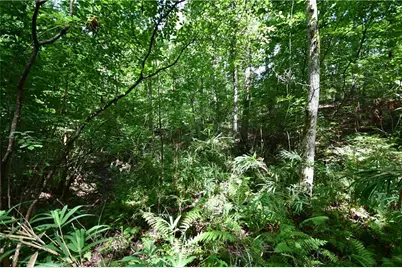 00008 Windridge Lane, Temple, GA 30179 - Photo 15