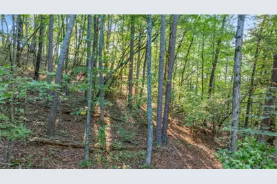 0 Myrtle Drive, Dahlonega, GA 30533 - Photo 13