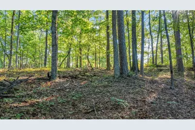 0 Myrtle Drive, Dahlonega, GA 30533 - Photo 15