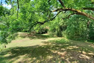 705 Triune Mill Rd, Thomaston, GA 30286 - Photo 31