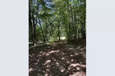 3370 Cowart Road, Dawsonville, GA 30534 - Photo 19