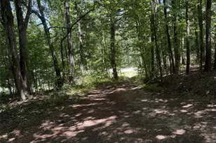 3370 Cowart Rd, Dawsonville, GA 30534 - Photo 19
