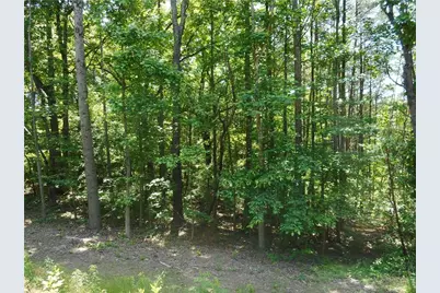 0 Holly Street, Canton, GA 30115 - Photo 3