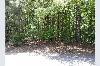 0 Holly Street, Canton, GA 30115 - Photo 5