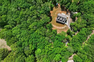 1247 Little Mountain Rd, Dawsonville, GA 30534 - Photo 11