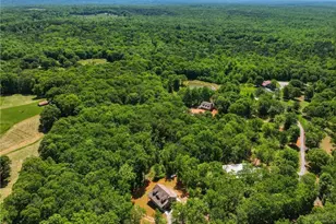 1247 Little Mountain Rd, Dawsonville, GA 30534 - Photo 7