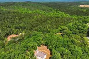 1247 Little Mountain Rd, Dawsonville, GA 30534 - Photo 9
