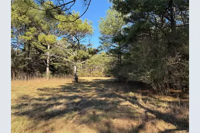 000000 Liberty Church Road, Ranger, GA 30734 - Photo 7