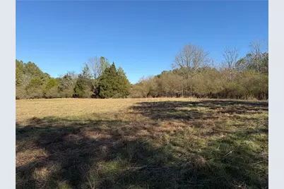 000000 Liberty Church Road, Ranger, GA 30734 - Photo 3