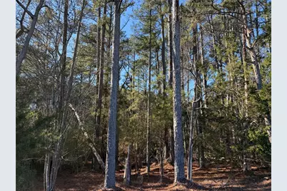 000000 Liberty Church Road, Ranger, GA 30734 - Photo 43