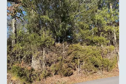 000000 Liberty Church Road, Ranger, GA 30734 - Photo 11