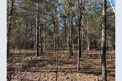 000000 Liberty Church Road, Ranger, GA 30734 - Photo 15