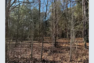 000000 Liberty Church Road, Ranger, GA 30734 - Photo 19