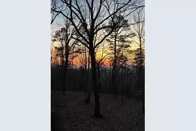 437 McCurry Trail, Canton, GA 30114 - Photo 3