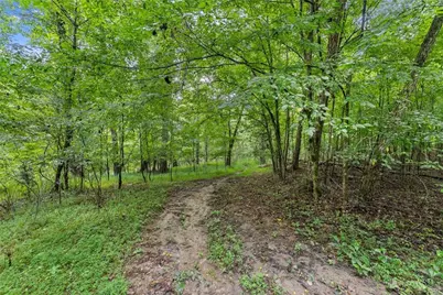 0 Lewis Grindle Road, Dahlonega, GA 30533 - Photo 7