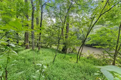 0 Lewis Grindle Road, Dahlonega, GA 30533 - Photo 15