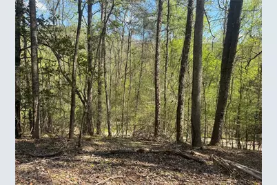 0 Lewis Grindle Road, Dahlonega, GA 30533 - Photo 9