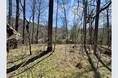 0 Lewis Grindle Road, Dahlonega, GA 30533 - Photo 7